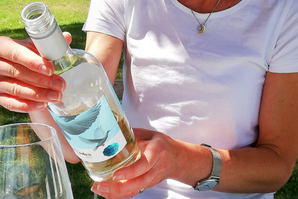 Woman looking at back label of Pleyádes white wine